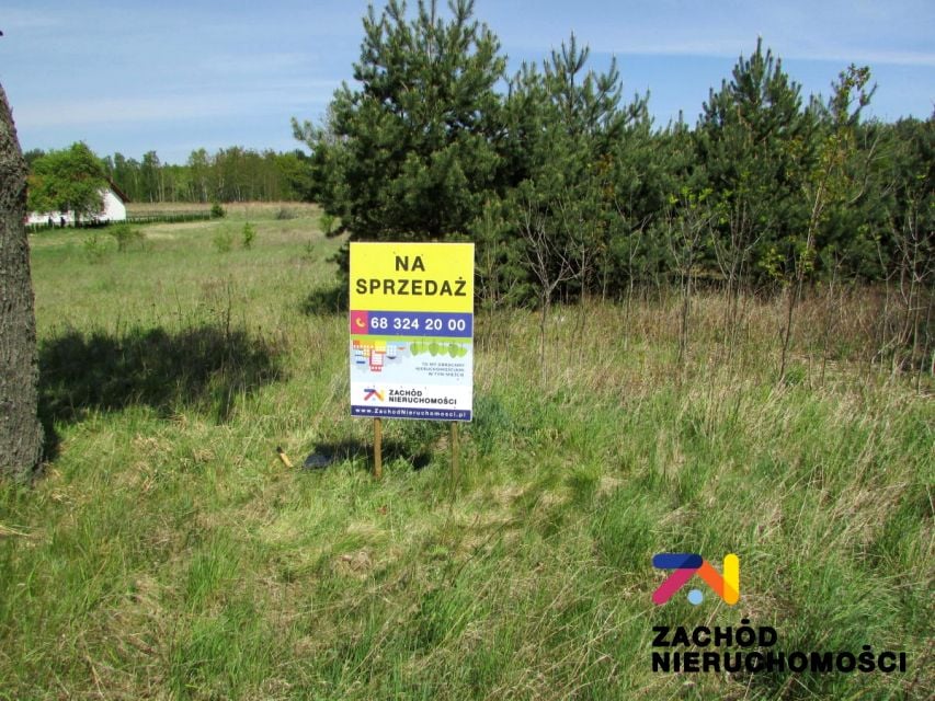 Zdjęcie 3