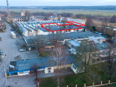 Budynek użytkowy Wasilków