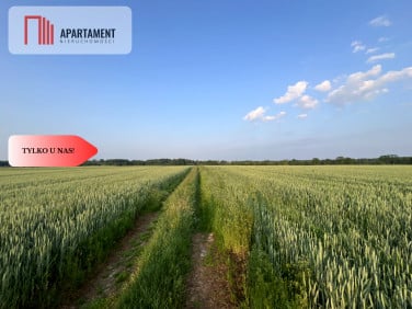 Działka budowlana Kruszyn