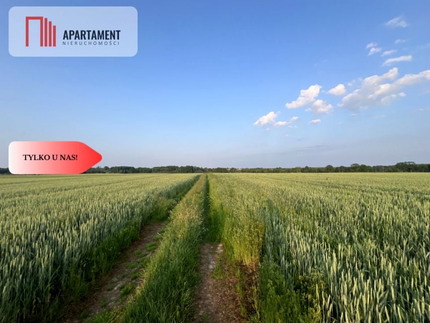 Działka budowlana Kruszyn