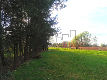 Działka Kozerki