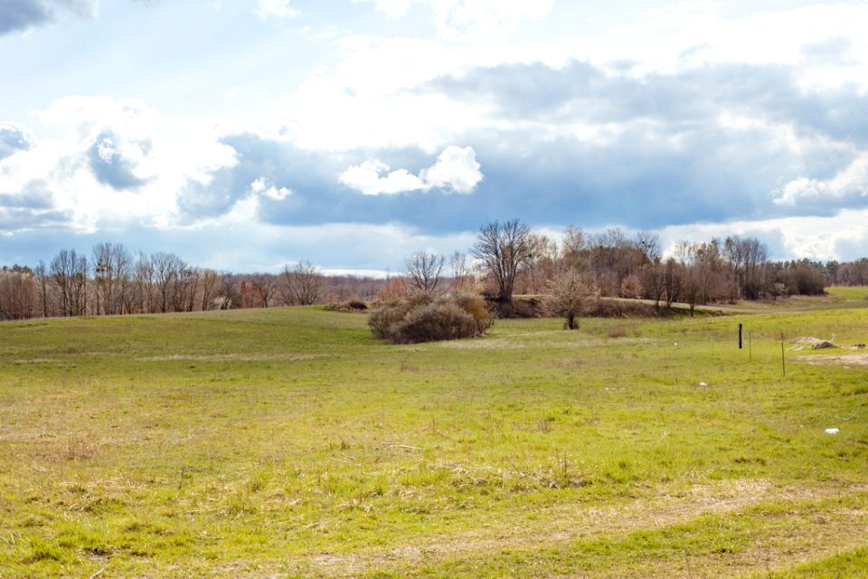 Działka siedliskowa Szczecin