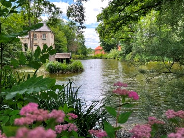 Działka Bagno