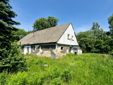 Dom Mlądz