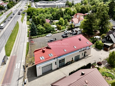 Lokal Chełm