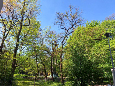 Mieszkanie Kraków