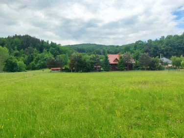 Działka Krzesławice