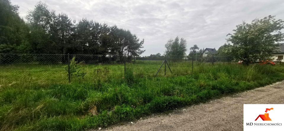 Zdjęcie 3