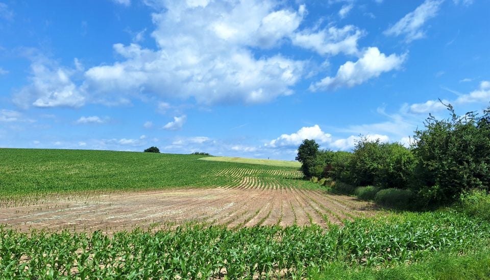 Działka budowlana Czernica sprzedam
