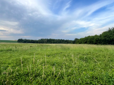 Działka budowlana Międzyrzecze Górne sprzedam