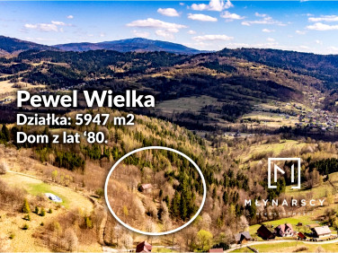 Dom Pewel Wielka