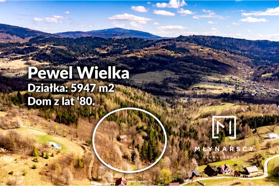 Dom Pewel Wielka