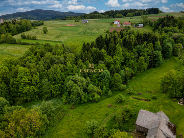 Działka leśna Mszalnica