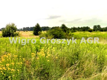 Działka siedliskowa Pieńków