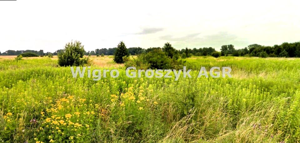 Działka siedliskowa Pieńków
