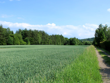 Działka budowlano-rolna Gdów