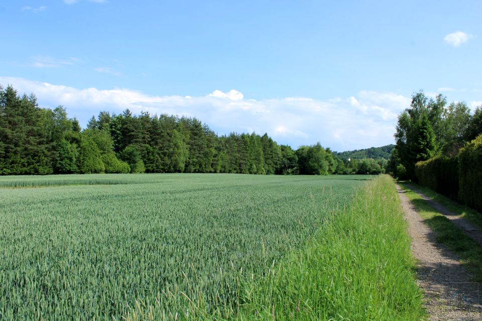 Działka budowlano-rolna Gdów