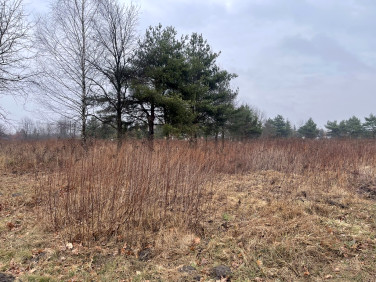 Działka nad jeziorem