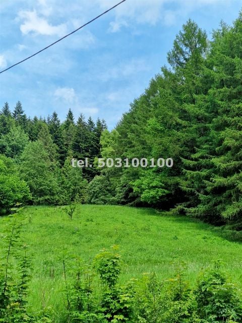 Mieszkanie Krynica-Zdrój
