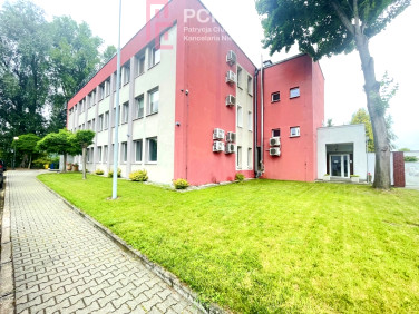 Lokal Opole