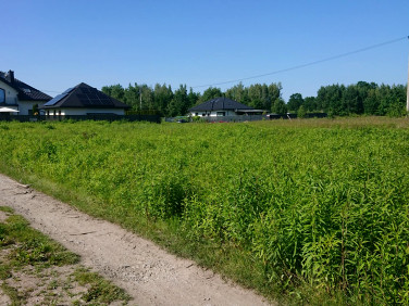 Działka Hipolitów