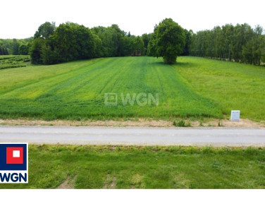 Działka Drzewce-Kolonia