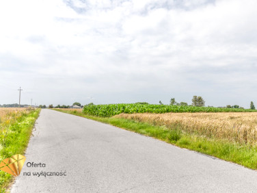 Działka Fajsławice