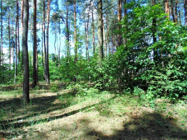 Działka budowlana Konstancin-Jeziorna sprzedam