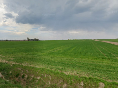 Działka usługowa Jankowice