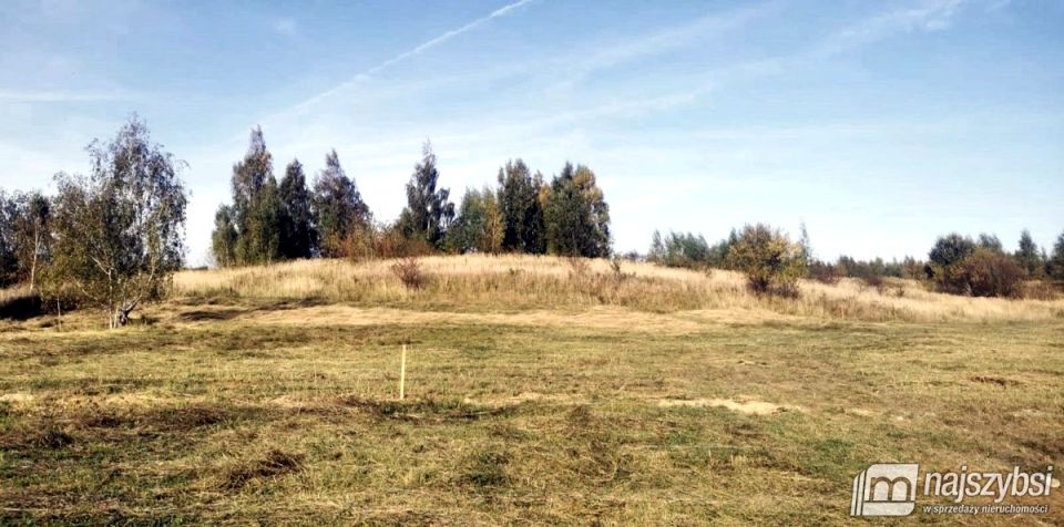 Działka inna Niekanin