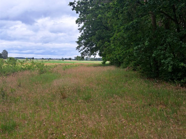 Działka rolna Sokołowo