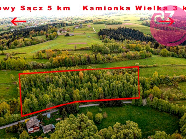 Działka Mszalnica