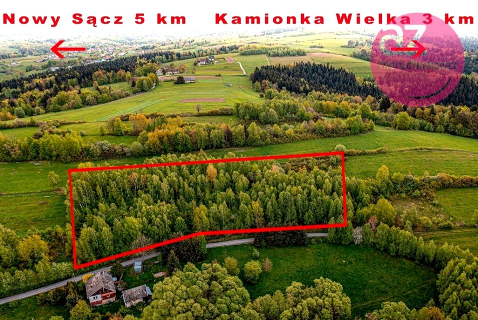Działka Mszalnica
