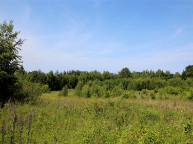 Działka inna Suchacz