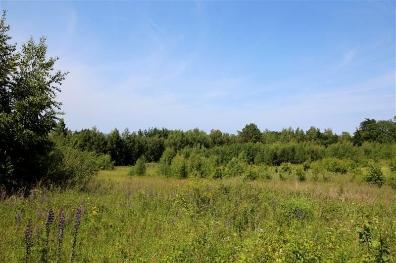 Działka inna Suchacz
