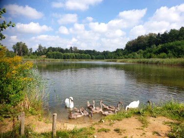 Działka rekreacyjna Ptakowice