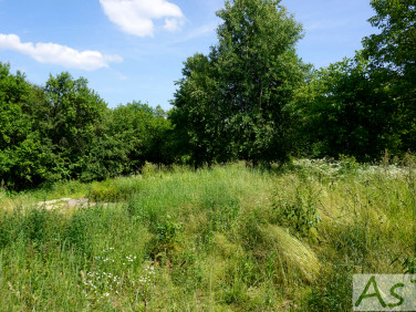 Działka Zelków