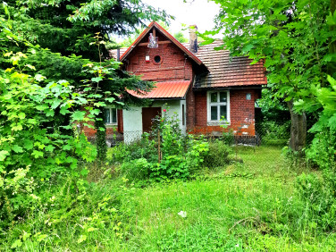 Dom Borów