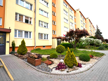 Mieszkanie przy lesie