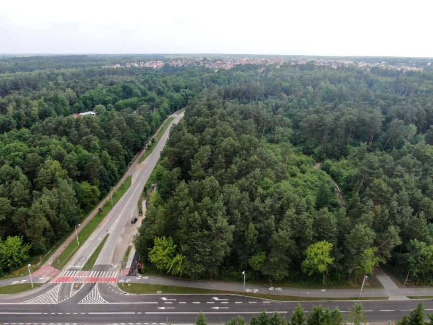 Zdjęcie 2