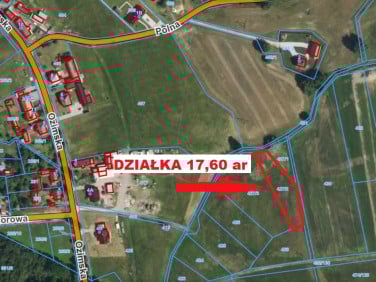 Działka rolna Szczedrzyk