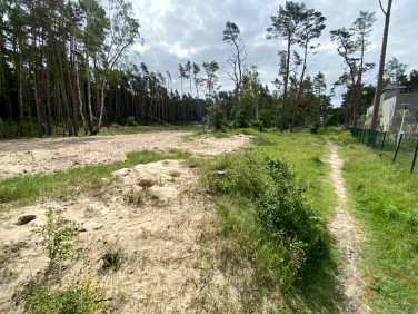 Działka Dziwnówek