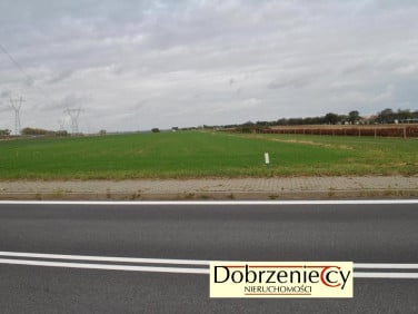Działka Swadzim