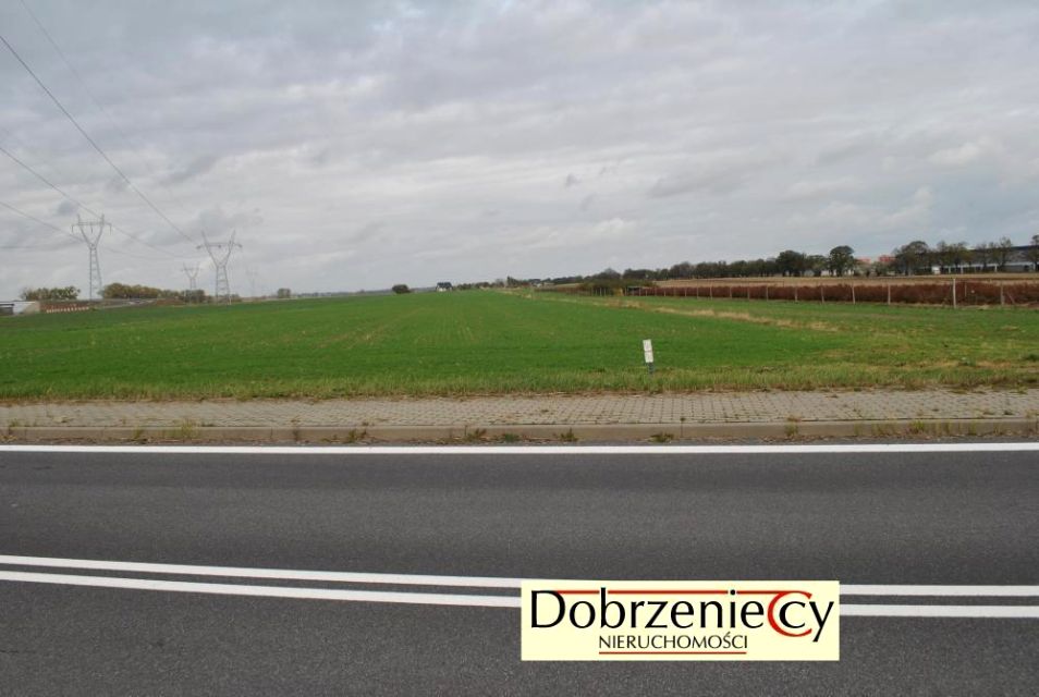 Działka Swadzim