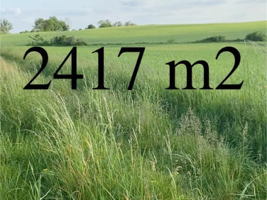 Działka Wołów