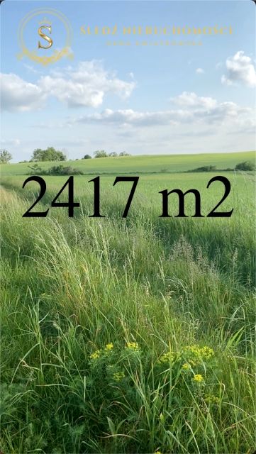 Działka Wołów