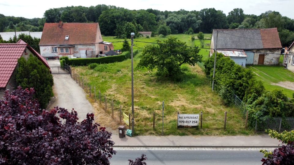 Działka Pełcznica