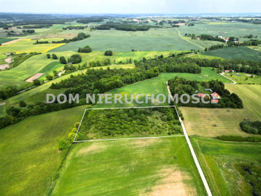 Działka siedliskowa Skolity