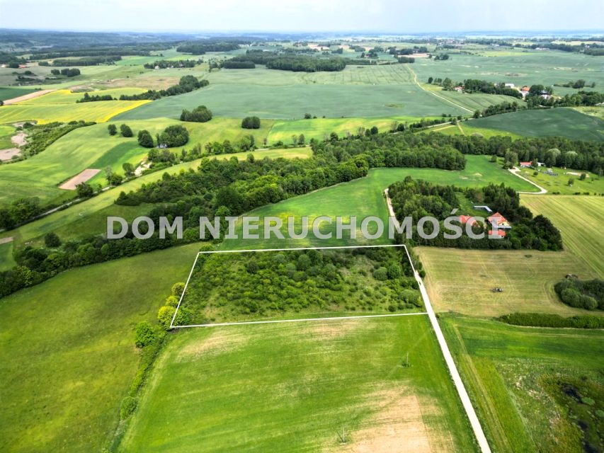 Działka siedliskowa Skolity