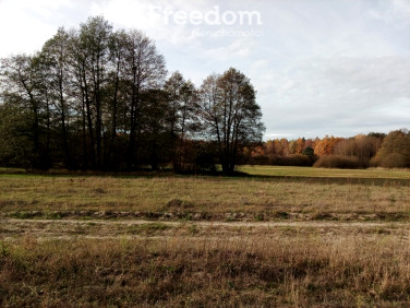 Działka budowlana Trzęśniew
